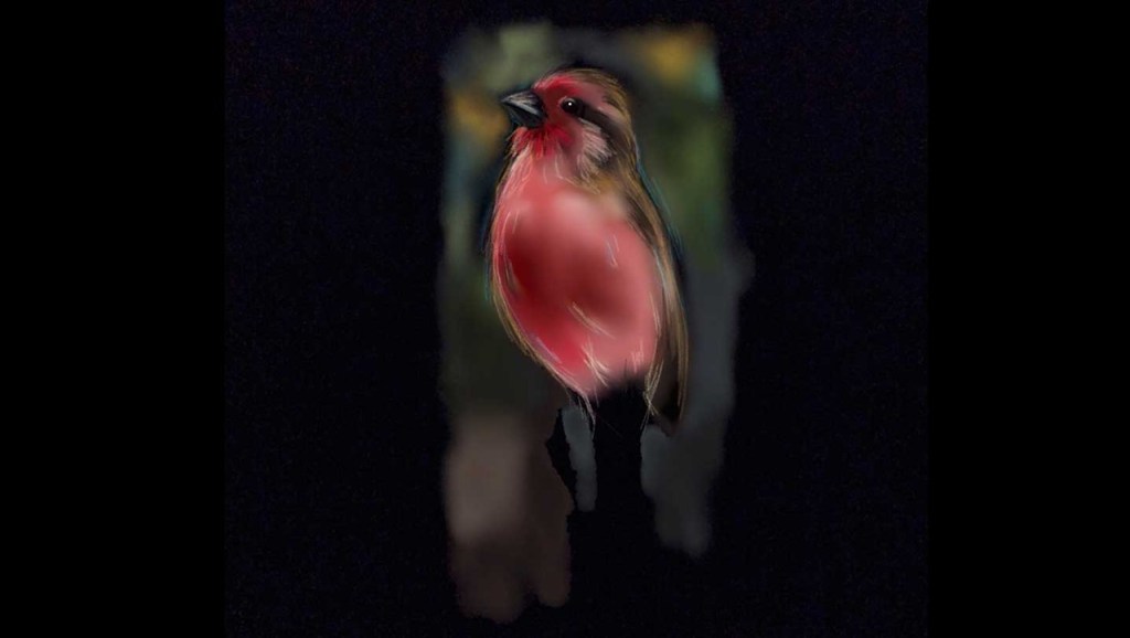 The Feathered Collection Vol.&nbsp;2