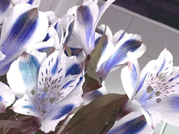 10 cosas que nunca&nbsp;imaginé…