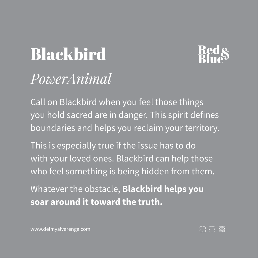 Blackbird Power Animal