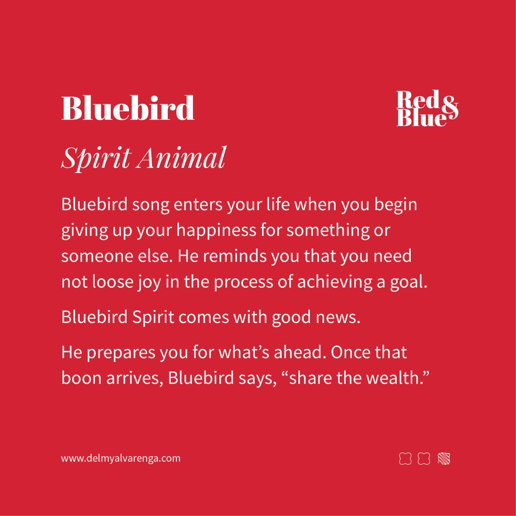 Bluebird Spirit Animal