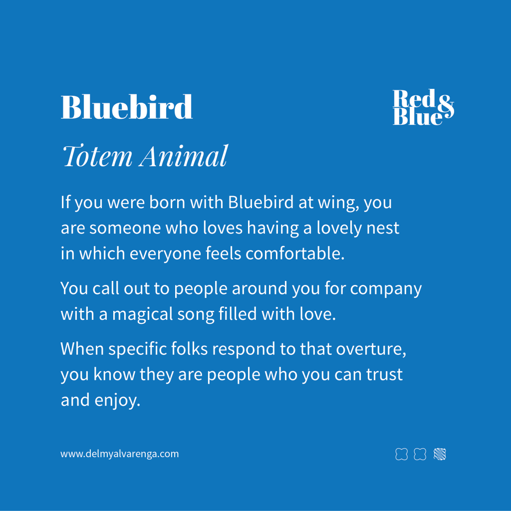Bluebird Totem Animal