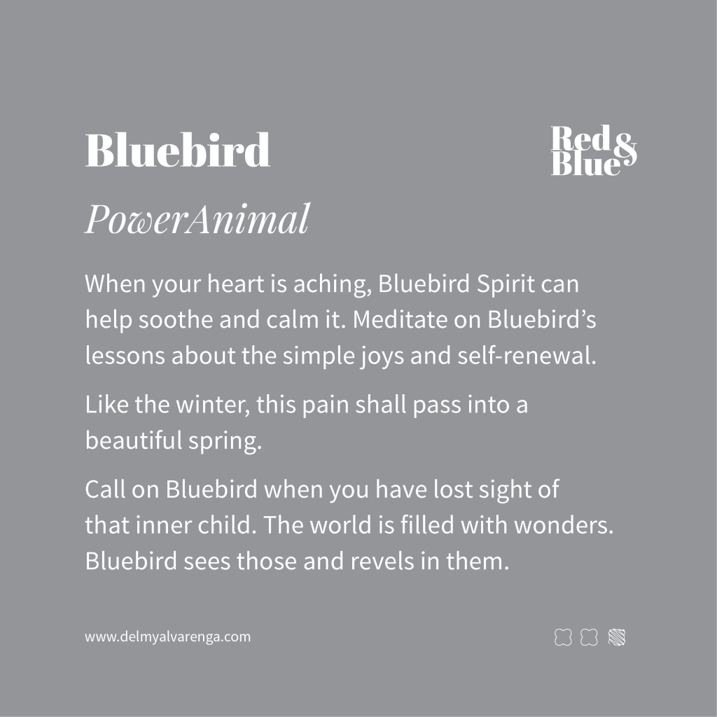 Bluebird Power Animal