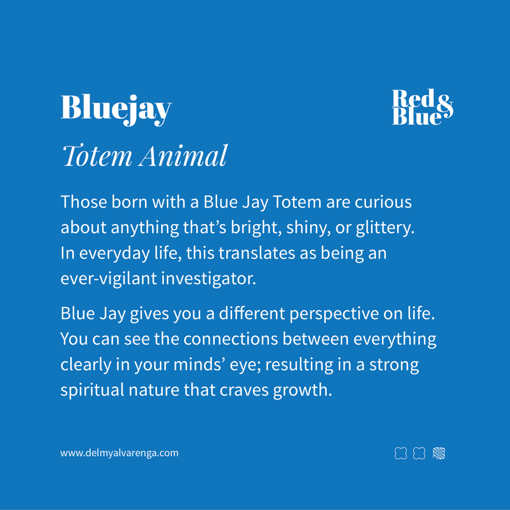 Blue Jay Totem Animal
