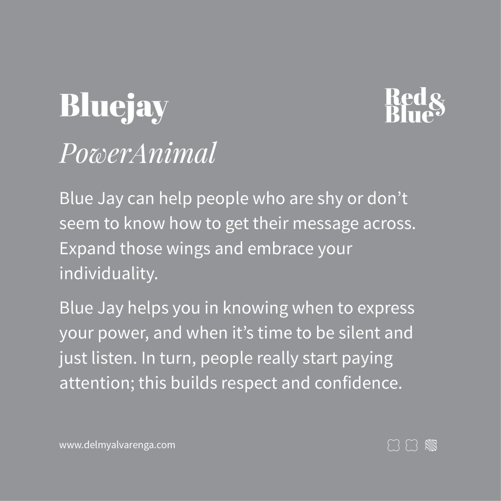 Blue Jay Power Animal