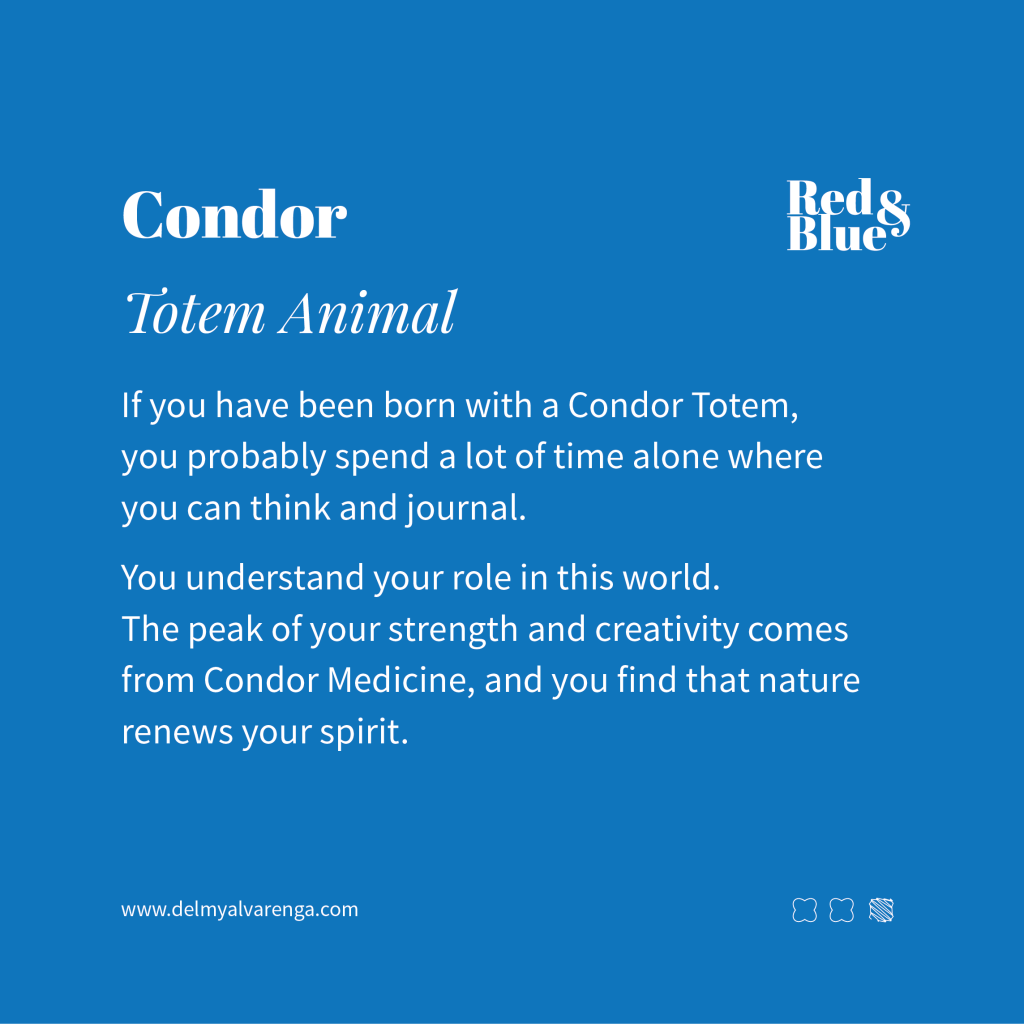 Condor Totem Animal