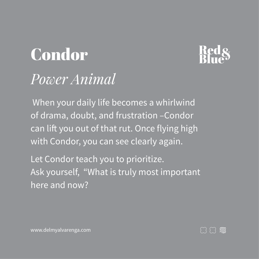 Condor Power Animal