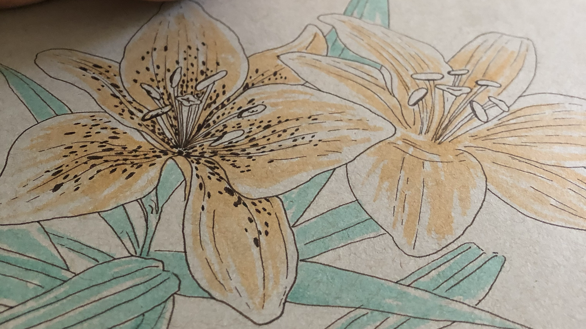 Botánica Pastel