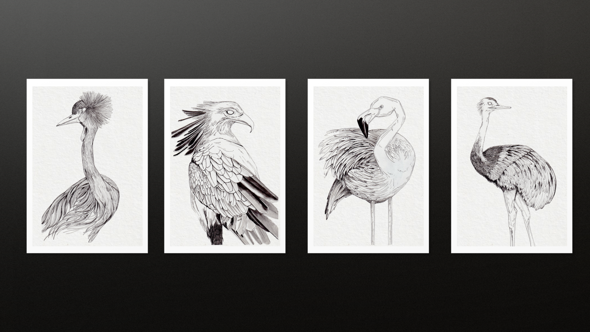 Inking the birds